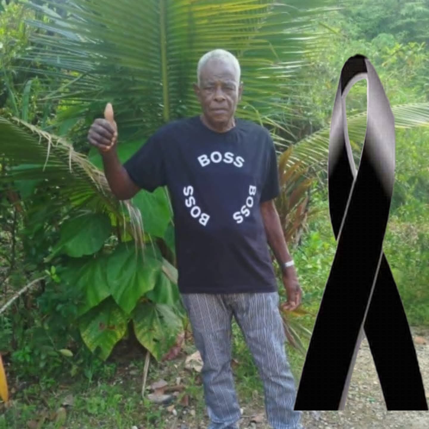 Campesino muere tras ser alcanzado por árbol en Condoto, Chocó